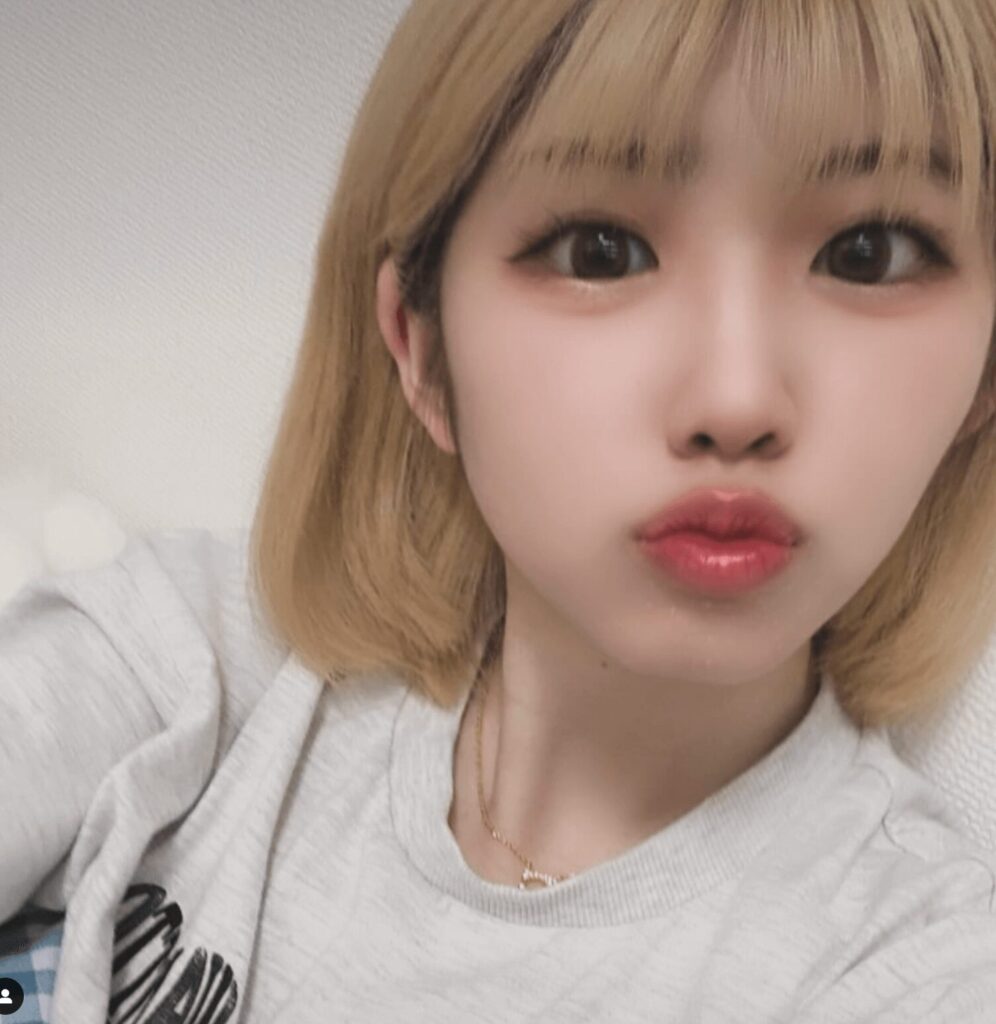 せんぷう tiktok 何者
