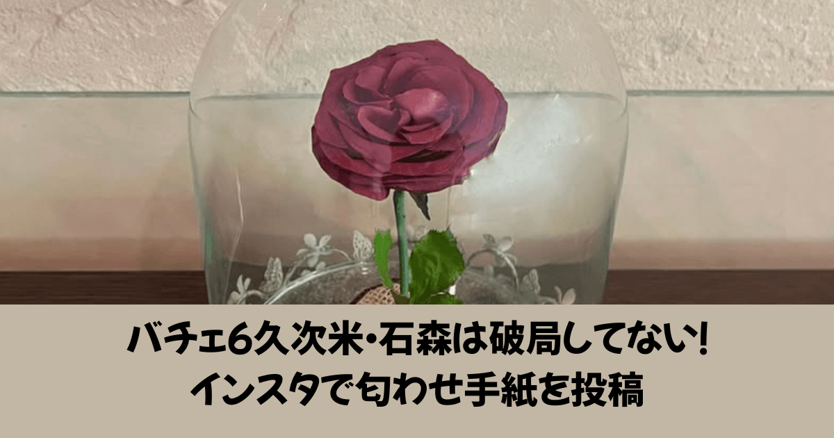 バチェラー6 石森　破局
