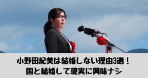 小野田紀美 結婚
